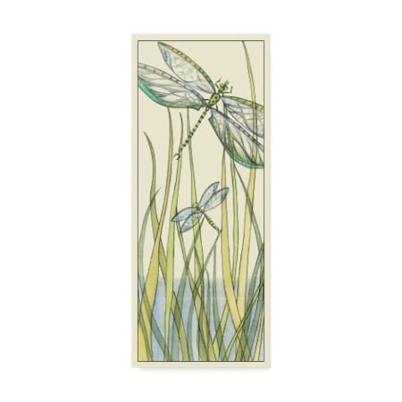 Chariklia Zarris 'Gossamer Dragonflies Ii' Canvas Art,8x19